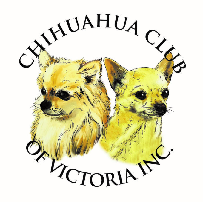 Chiwawa club shop